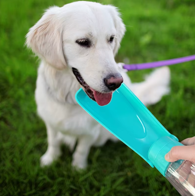 Gourde Chien 2-en-1 | Hydratation Facile