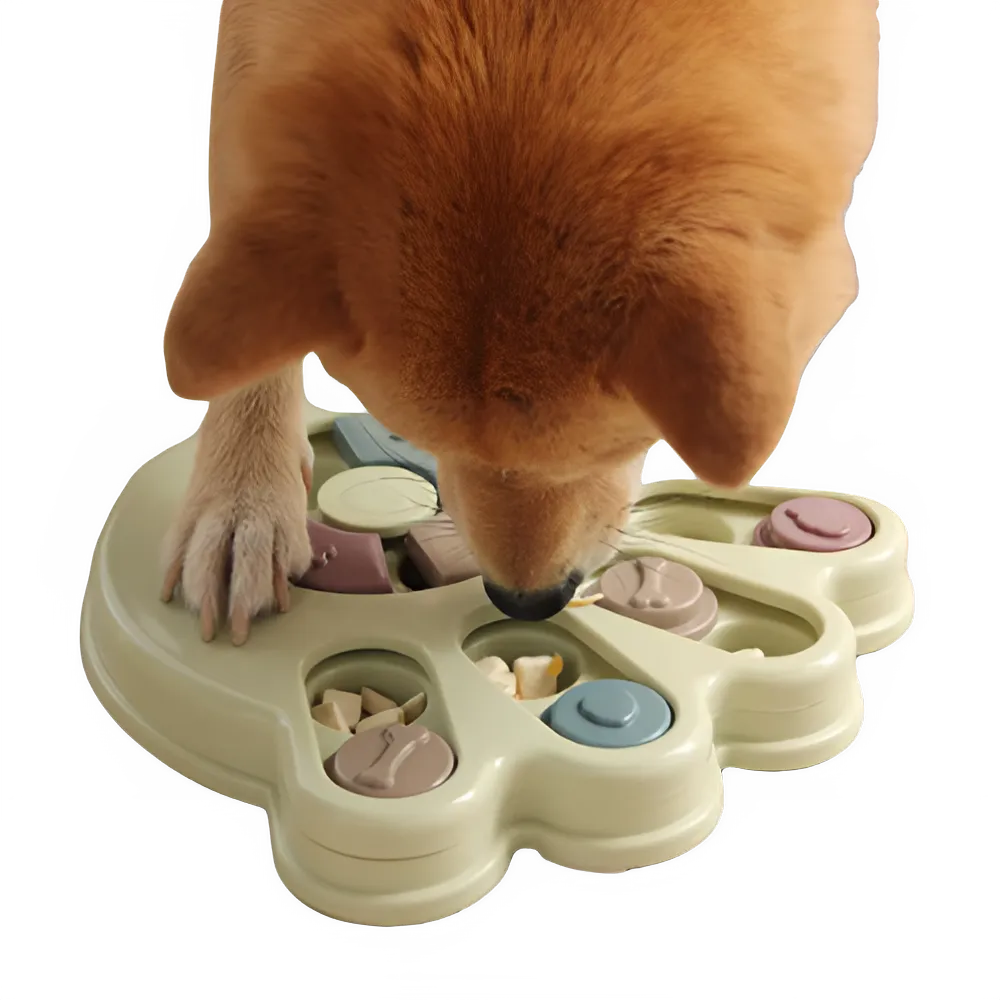 314a020f-8686-4f8a-ba6d-2a61a7939cf5