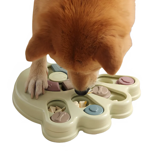 314a020f-8686-4f8a-ba6d-2a61a7939cf5